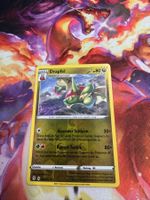 Drapfel (EVS 120) / Reverse Holo / Drachenwandel