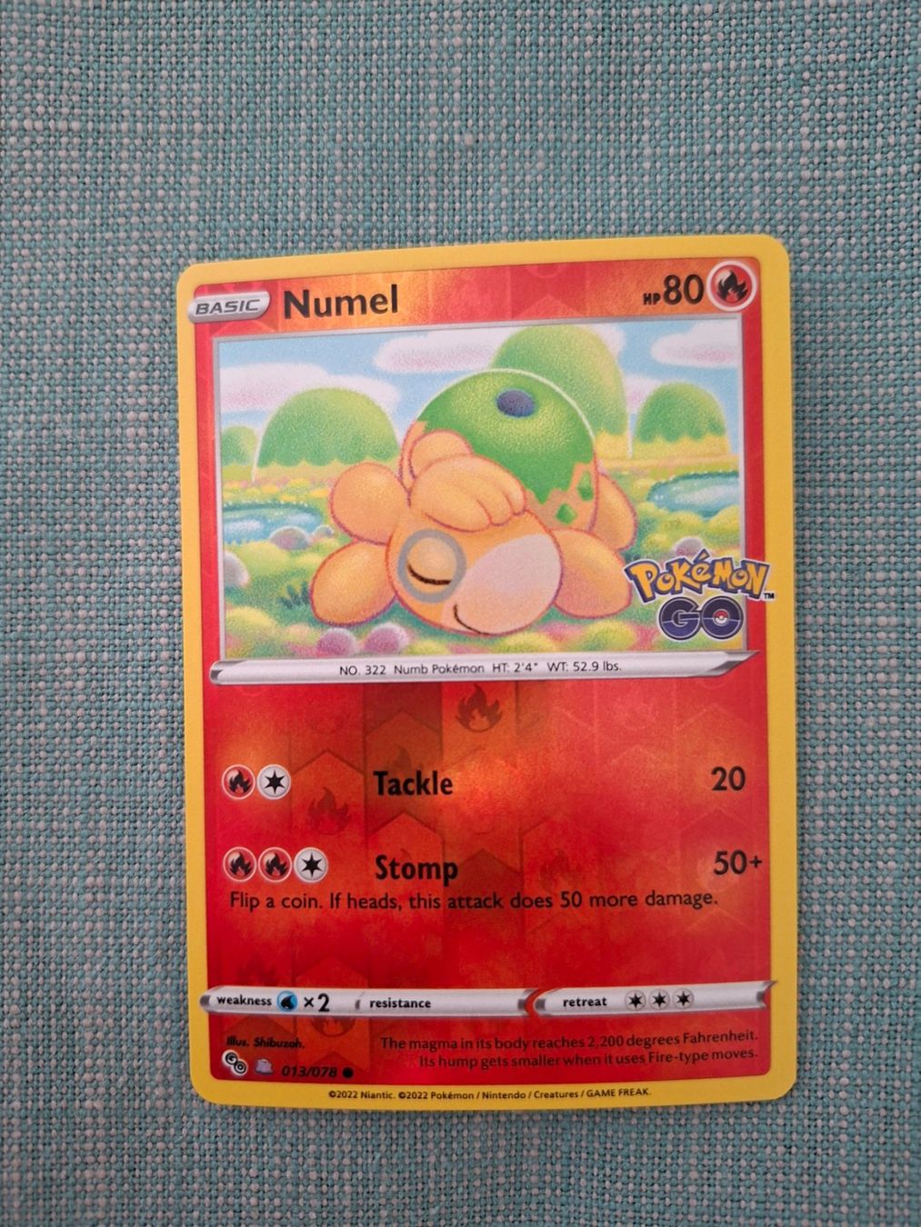 Pokémon Carte collezionabili: Numel reverse w/ hidden unpeeled Ditto Pokémon Go – Nuovo (secondo la descrizione) da Bellinzona venduto da Pagur