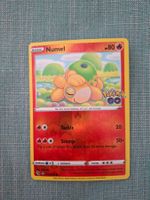 Numel reverse w/ hidden unpeeled Ditto Pokémon Go