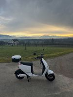 Züriflizzer City One S Elektroroller weiss