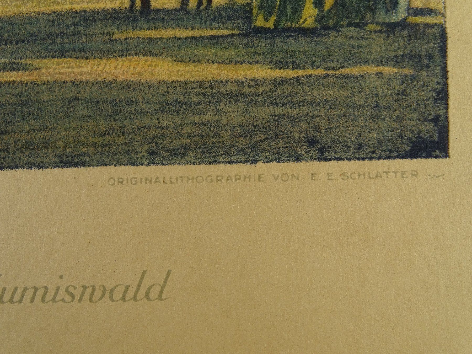 Incisioni: SUMISWALD, SCHLATTER LITHOGRAPHIE – Usato da Grüningen venduto da Kartensammler 5