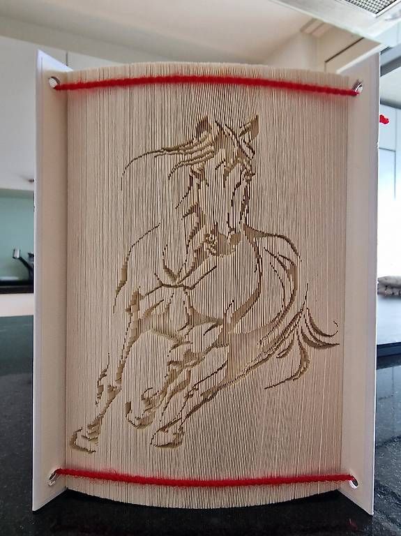 Libri: Buch mit Pferd – Usato da Gunzgen venduto da superdancer67