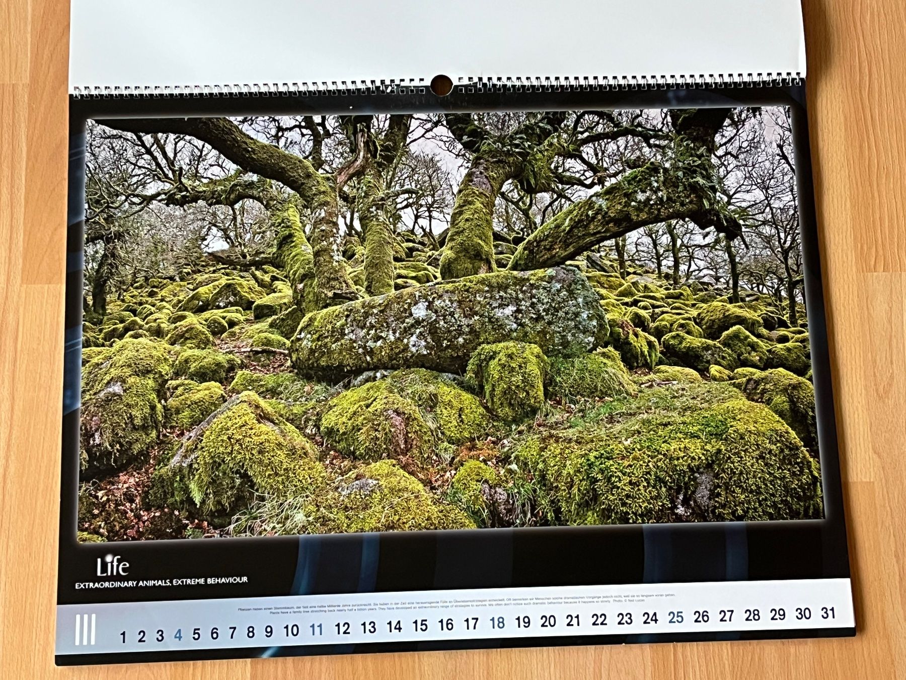 Kalender: Kalender "Life: Extraordinary animals/extreme behaviour 2012 – Gebraucht aus Uetendorf von sru128 3