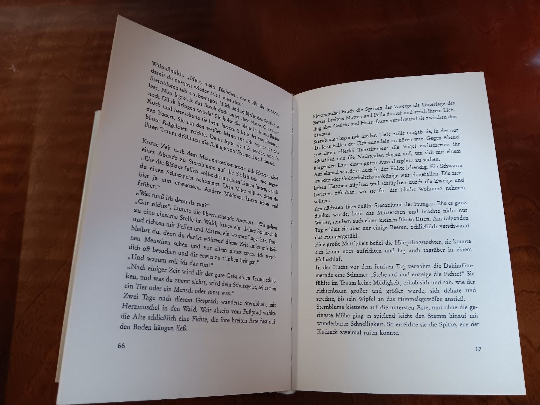 Libri: Die rote Lady – Usato da Erstfeld venduto da Uhu1980 2