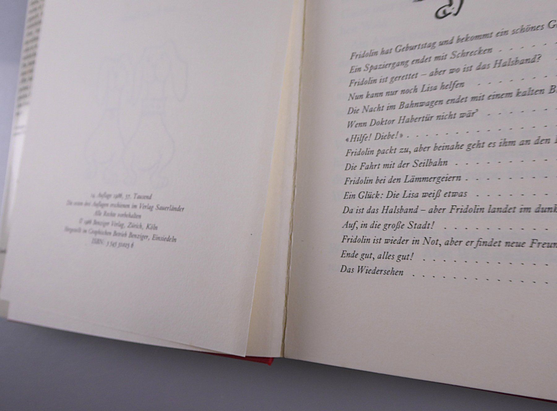 Libri: Fridolin, Eine lustige Geschichte für Kinder – Usato da Volketswil venduto da brockipfannenstil 1