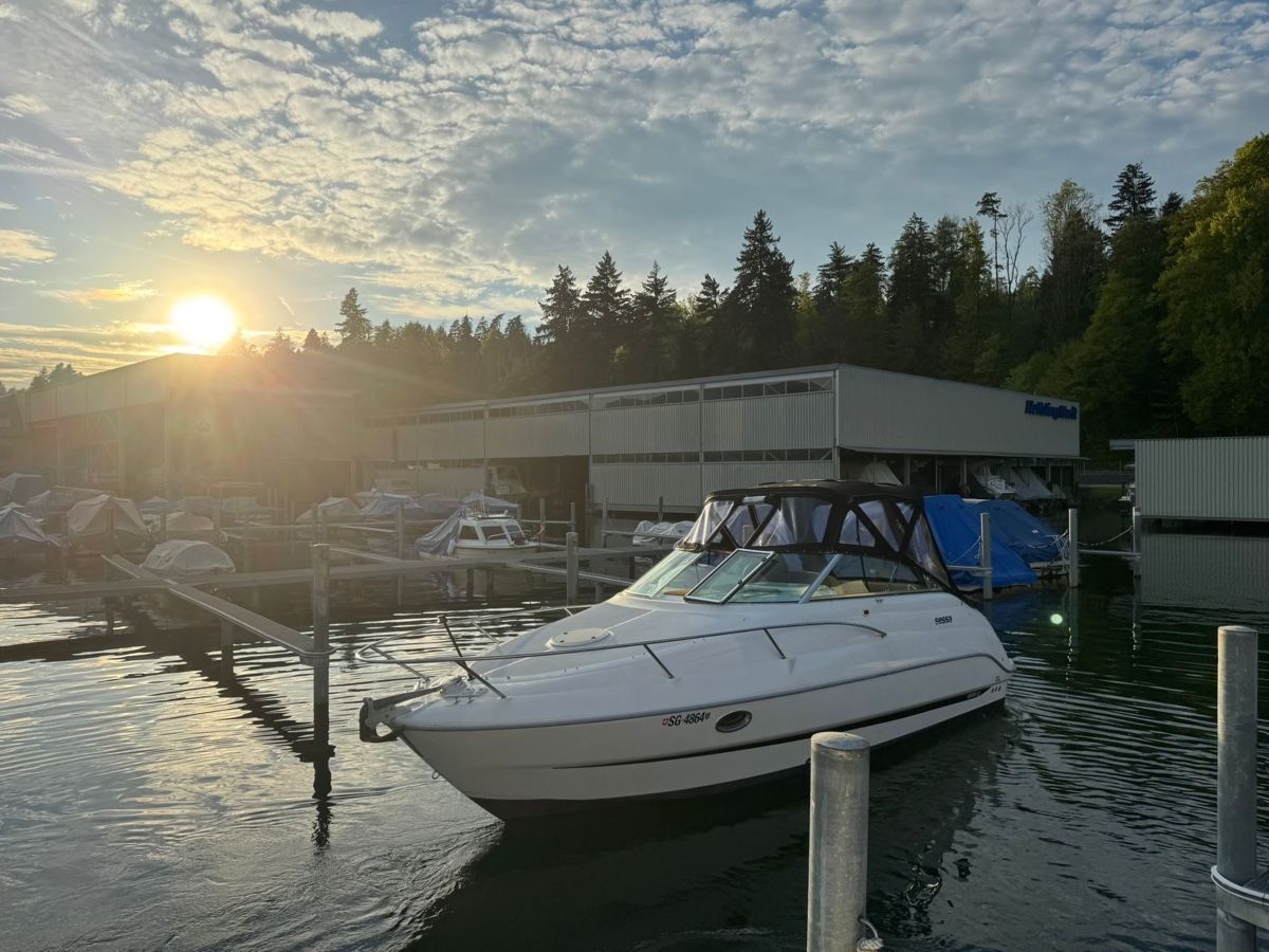 Sessa Barche: Motorboot Sessa Oyster 25 – Usato da Volketswil venduto da ahm_tv8g 8