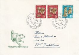 1965 Pro Juventute FDC 2 Belege