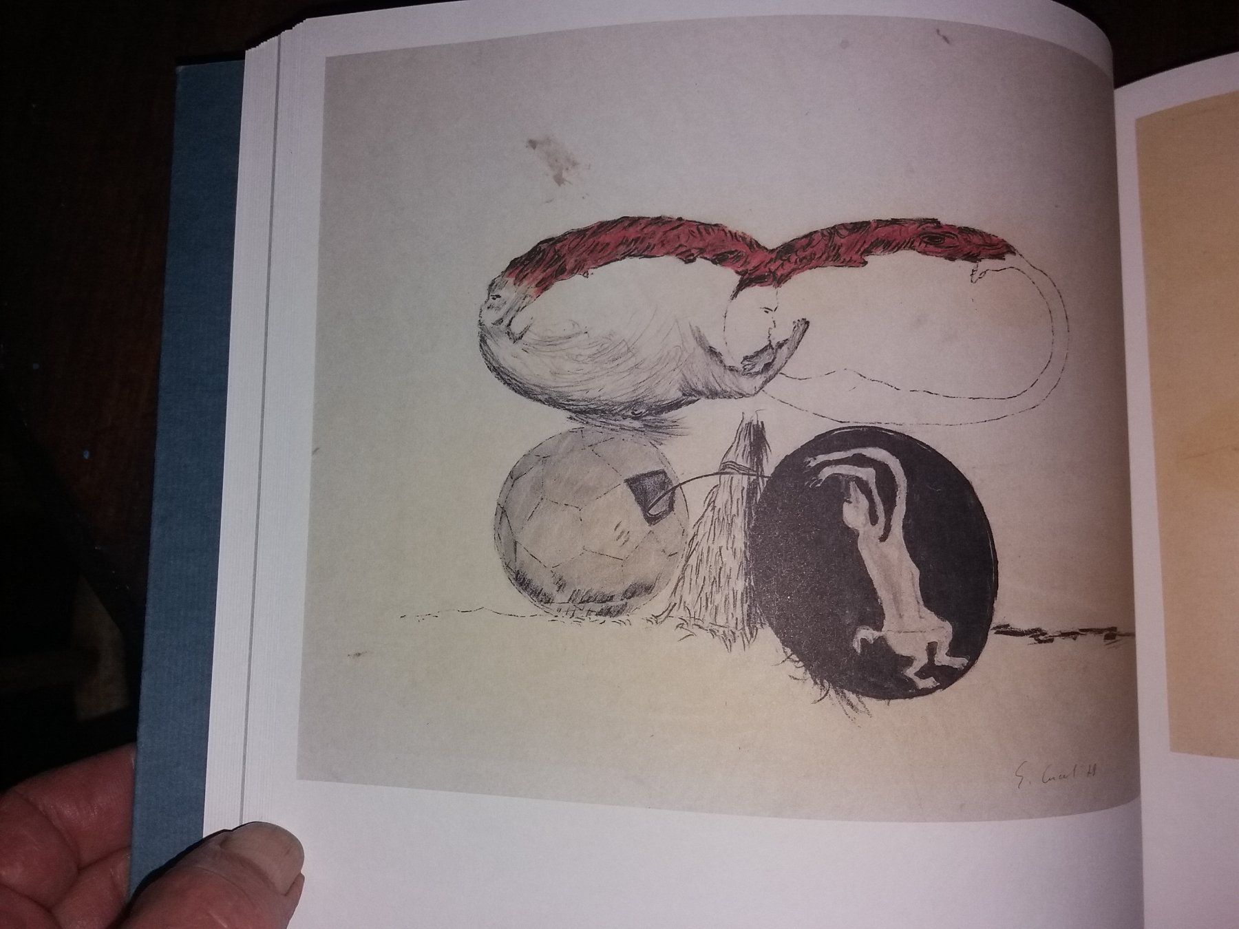 Libri: KUNSTKLASSIKER Enzo Cucchi ROMA – Usato da Welschenrohr venduto da Regool 5