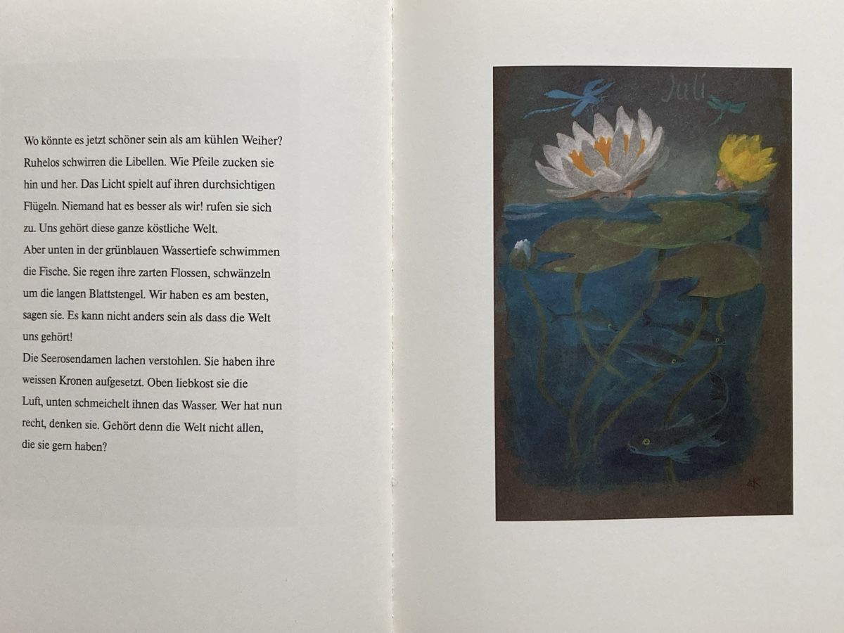 Bücher: 3 Kinderbücher von Kreidolf – Gebraucht aus Winterthur von Wakame 1