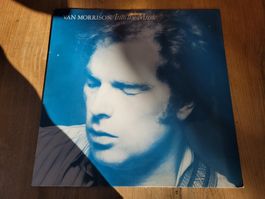 LP Vinyl: Van Morrison – Into The Music - 1979