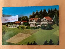 1966 Hotel - Pension Haltenegg
