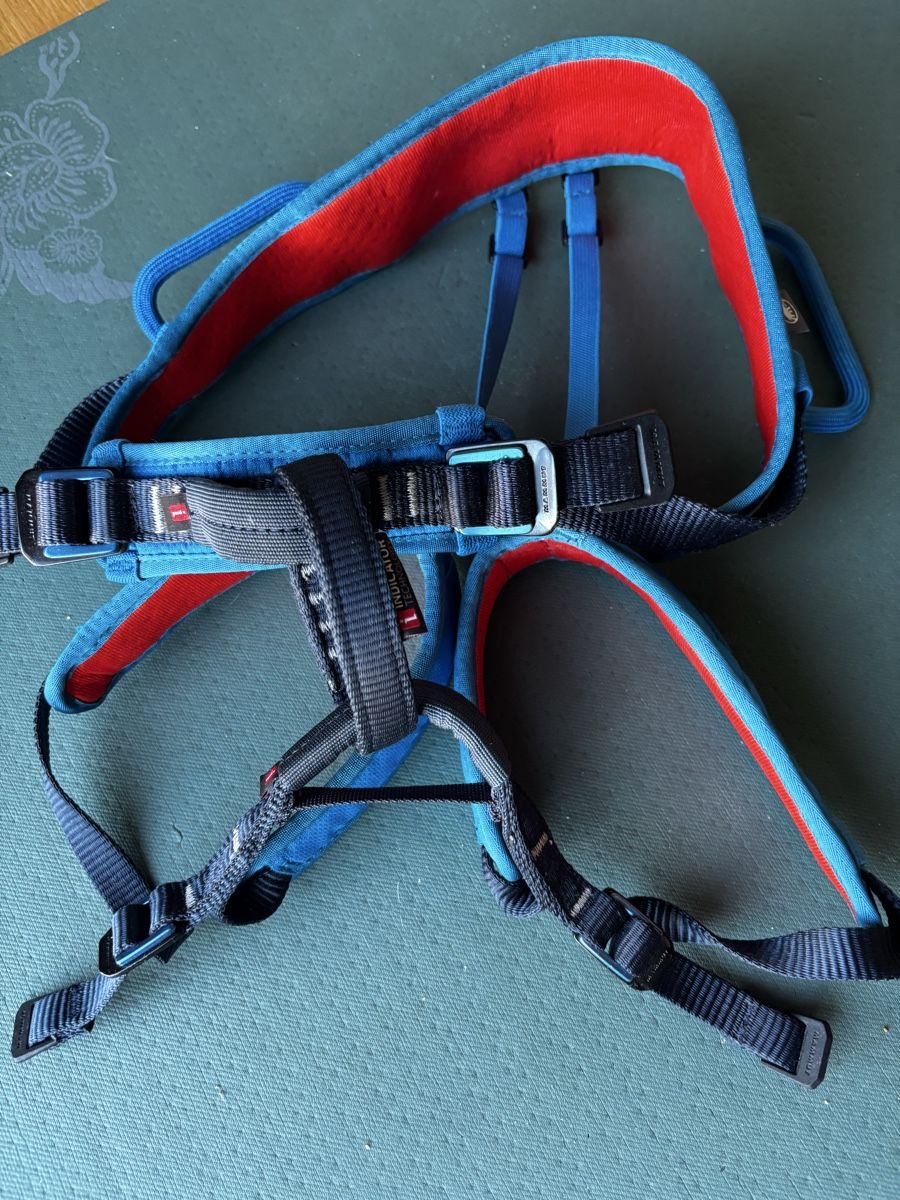 Mammut Kletterausrüstungen: Mammut Kinderklettergurt – Gebraucht aus Zürich von Onemorejo 1