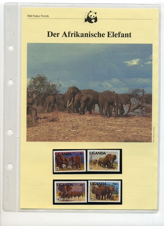 Prophila Collection Briefmarken-Set – 25 Verschiedene Elefanten-Motive
