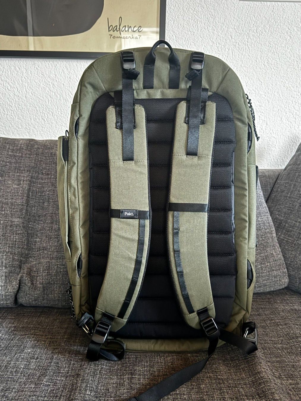 Zaini: Pakt Travel Backpack 45L – Usato da Bern venduto da dimchy 2