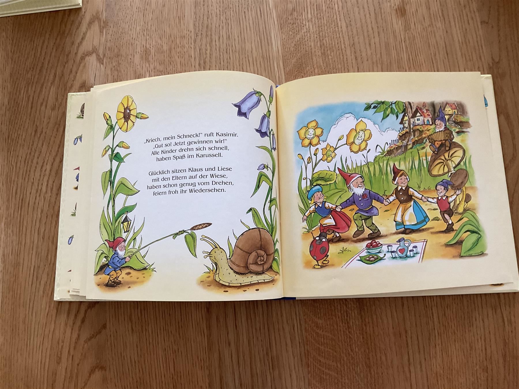 Libri: Sommerfest im Zwergendorf – Nuovo (secondo la descrizione) da Wetzikon ZH venduto da Libelle01 2