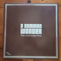 A Common Wonder The Instrumentals 2xLP