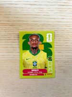 ⚽️ BRA 8 Panini