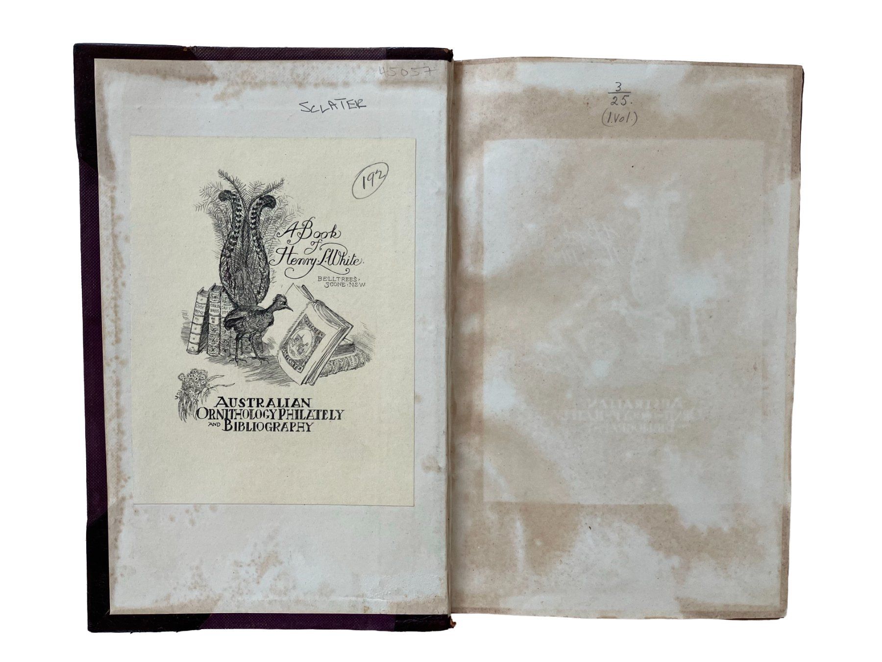 Libri: Ornithological book with Belltrees binding, 1915 – Usato da Uster venduto da TricottetCollection 3