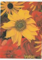 10  Blumenkarten