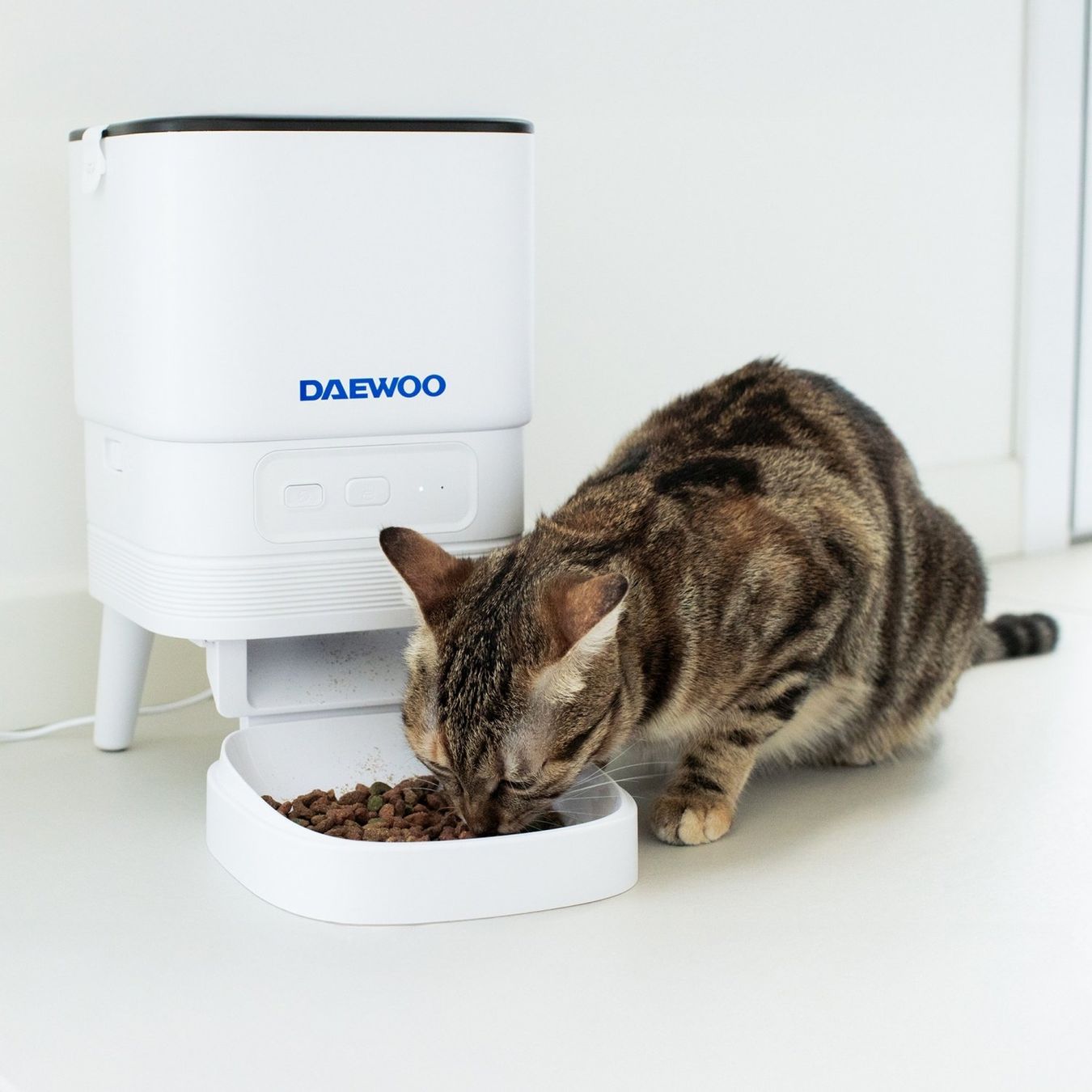 Mangimi: Daewoo Automatic Pet Feeder with TUYA App – Nuovo e nell'imballaggio originale da Hitzkirch venduto da Thali_AG 7