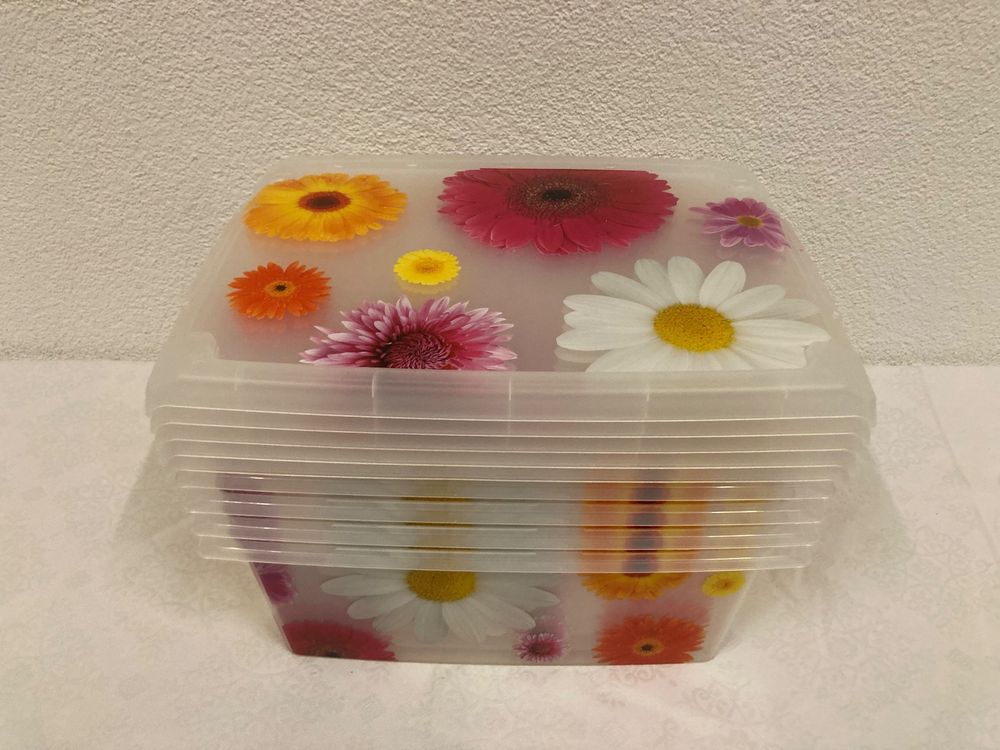 Caroline Aufbewahrungsboxen: 5 Stück, 650 Ml, Mikrowellen- & Gefriersicher – Klar Mit Deckel