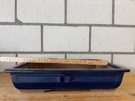 Grosse Bonsaischale rechteckig  blau glasiert  ca. 30 cm