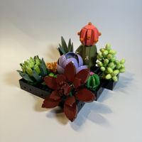 LEGO Botanicals Sukkulenten (10309)