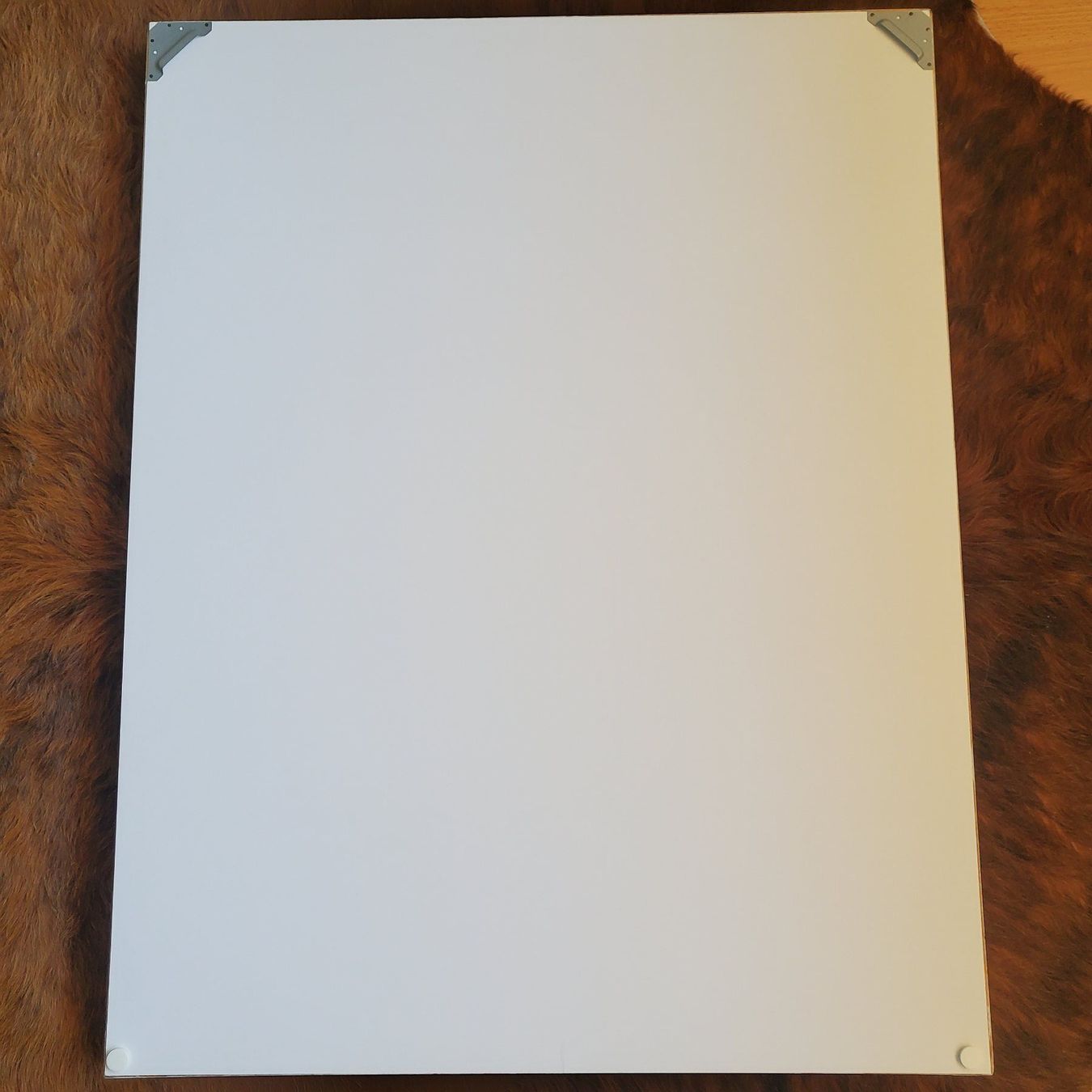 Grafica & Litografie: Max Bill, Farb-Litho, röm. nummeriert, handsigniert, gerahmt – Usato da Füllinsdorf venduto da havi4 1
