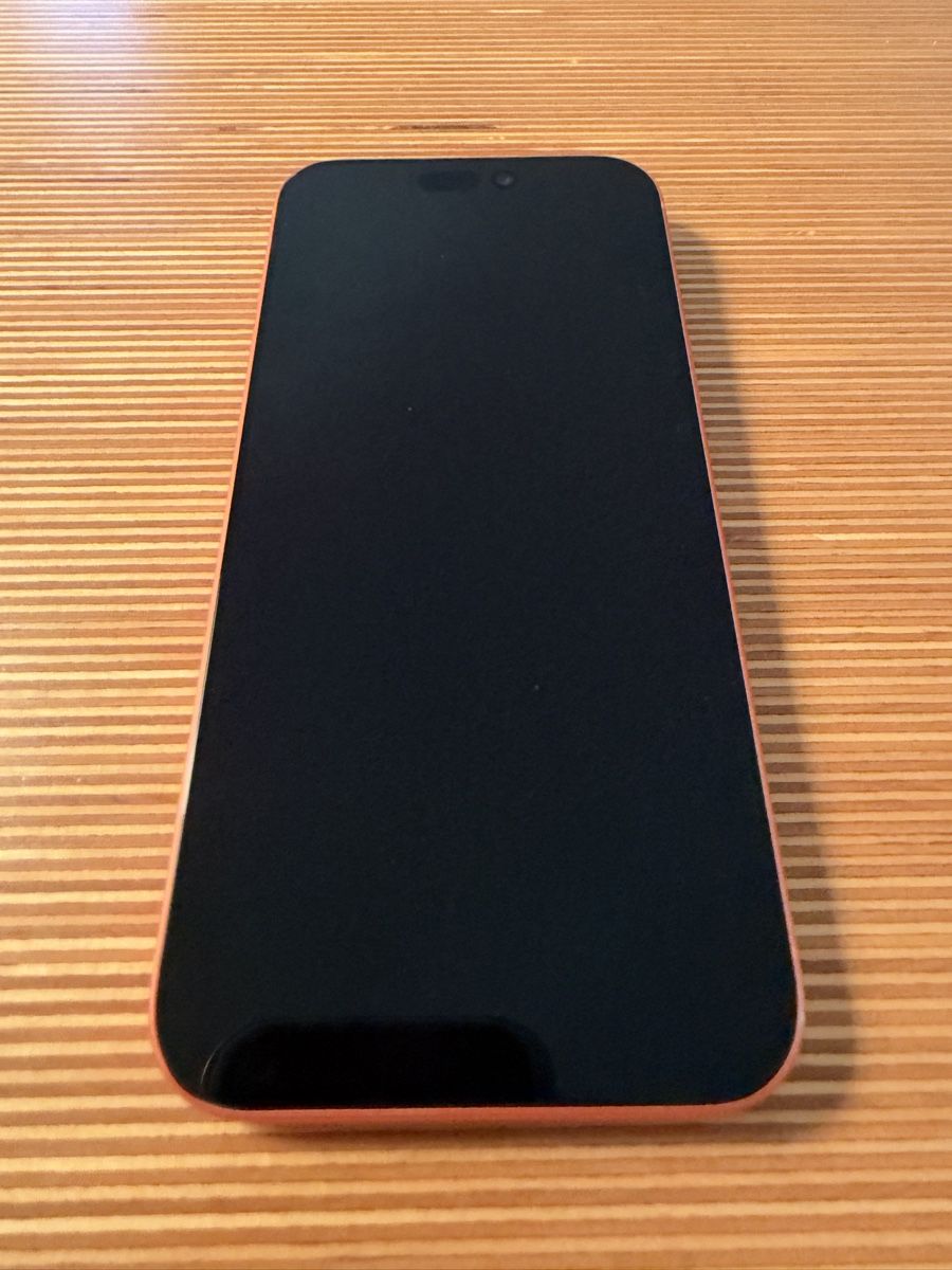 Apple Telefoni cellulari / Smartphones: iPhone 17 Pro Max Cosmic Orange 256 GB – Usato da Hinwil venduto da Annikalsa 3