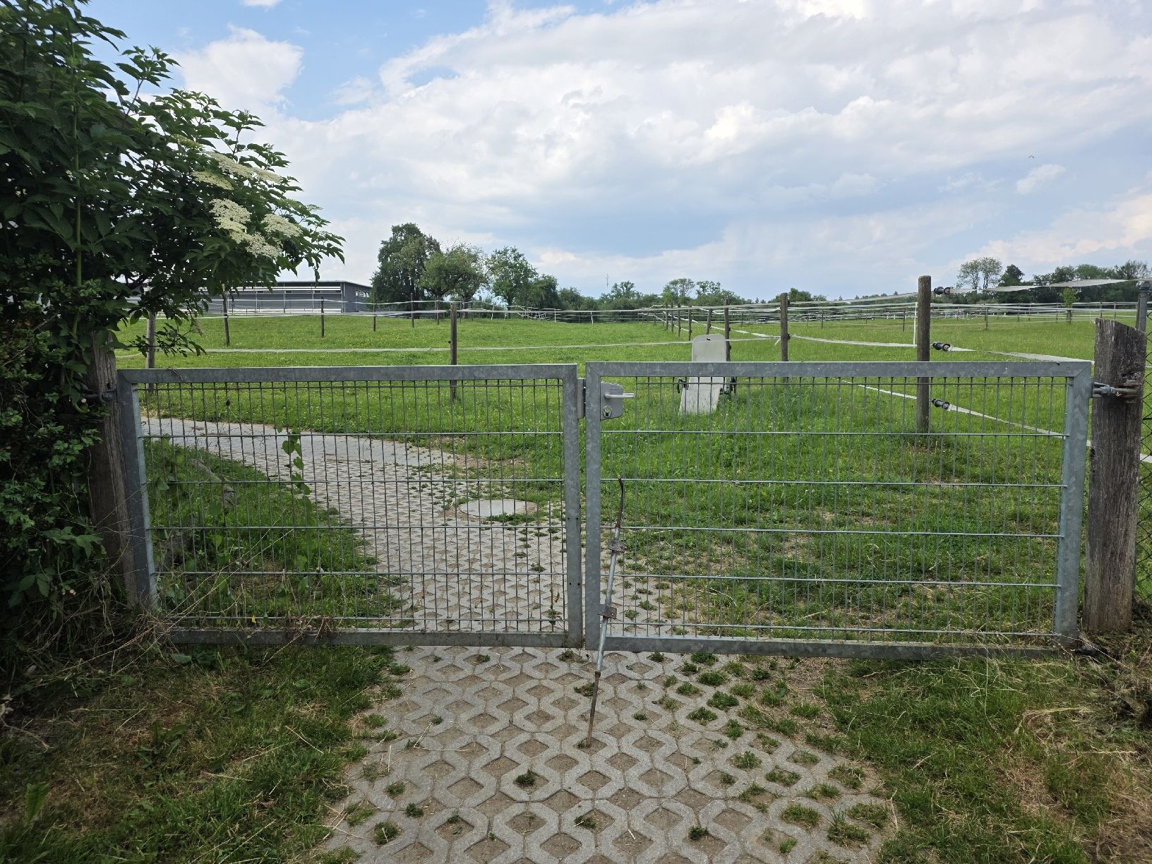 Porte: Eisentor massiv, verzinkt – Usato da Engwilen venduto da pet_s8vg