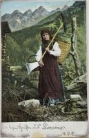 Tessin, Locarno, Costumi, Landwirtschaft, 1906