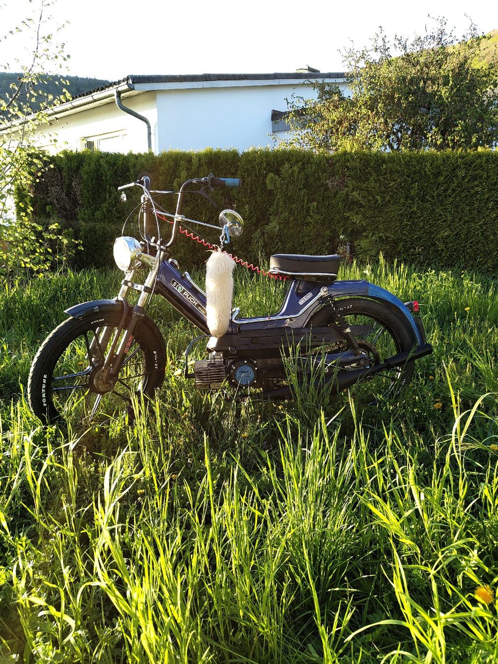 Puch Mofas: Puch maxi s – Gebraucht aus Löhningen von Mce6