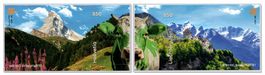 Schweiz Liechtenstein Crypto 6.0 CHLI  grün ** Versand A+