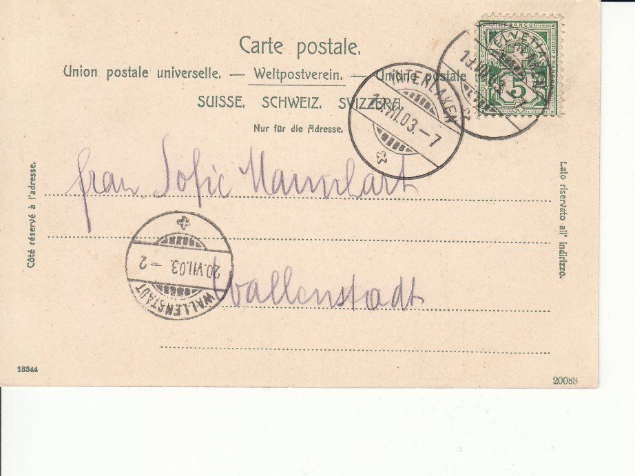 Cartoline postali: Interlaken 1903 – Usato da Bürglen TG venduto da StampGraf 1