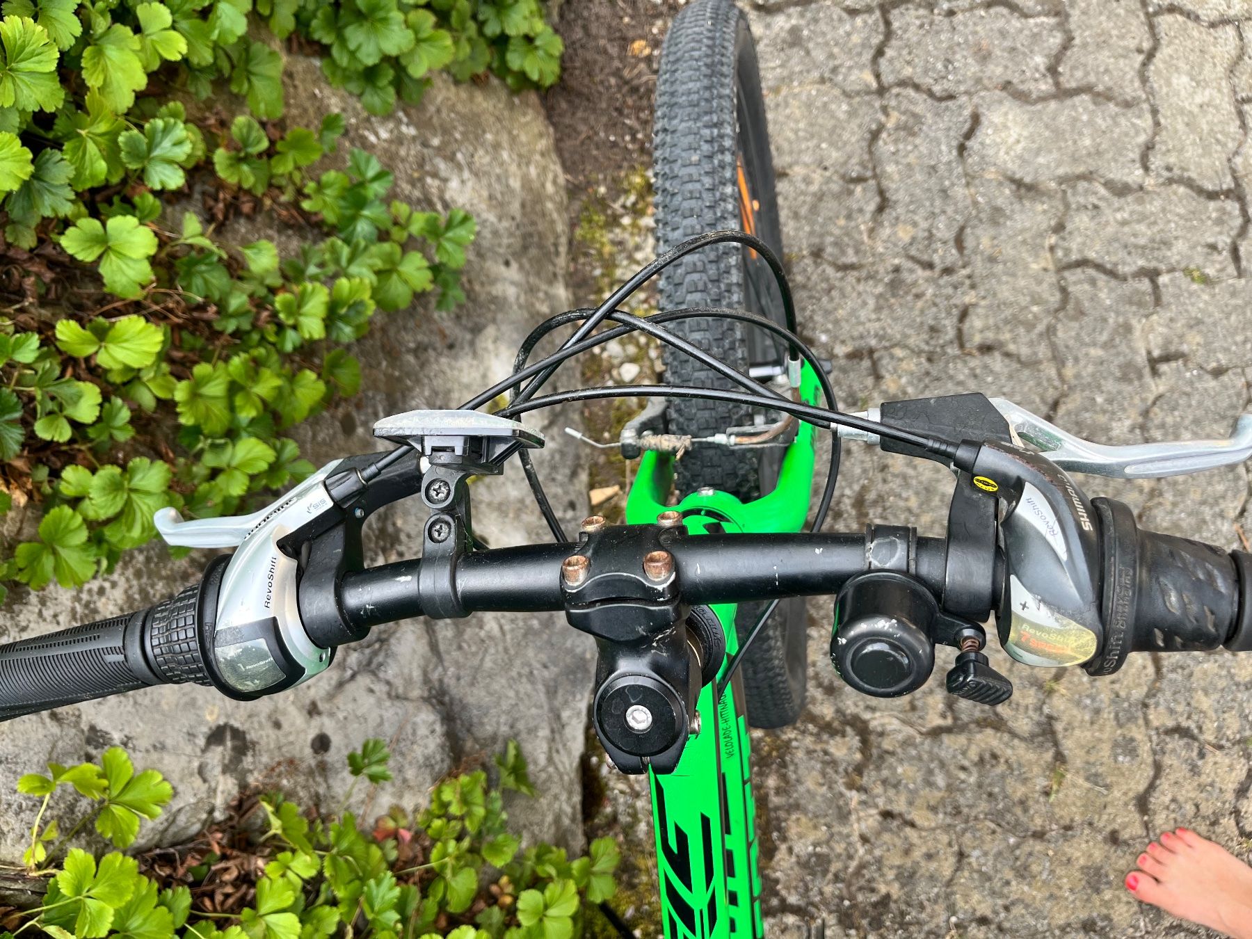 Scott Biciclette: SCOTT Kinderfahrrad JR24 grün – Usato da Hittnau venduto da est_cc2q 2