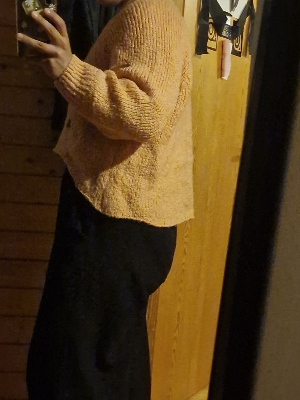 Pulls & Sweat-shirts: Pullover – D'occasion à Wil SG par zeh_pck9 1