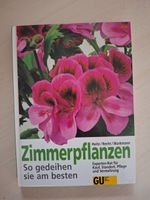 Zimmerpflanzen-Ratgeber: So gedeihen sie am besten!