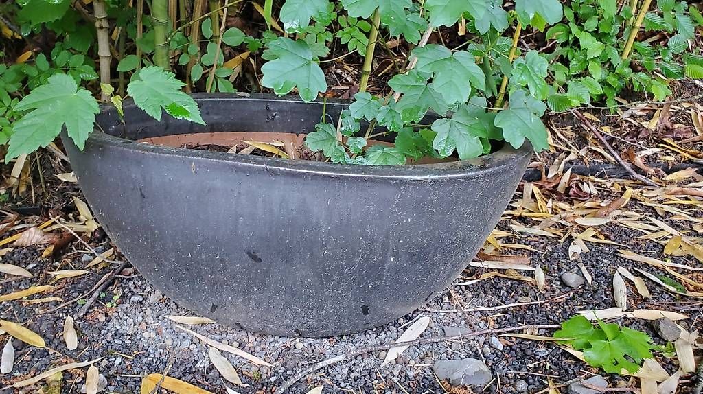Vasi per fiori: Diverse Pflanzentöpfe Stein Ton – Usato da Küttigen venduto da rijo26 2