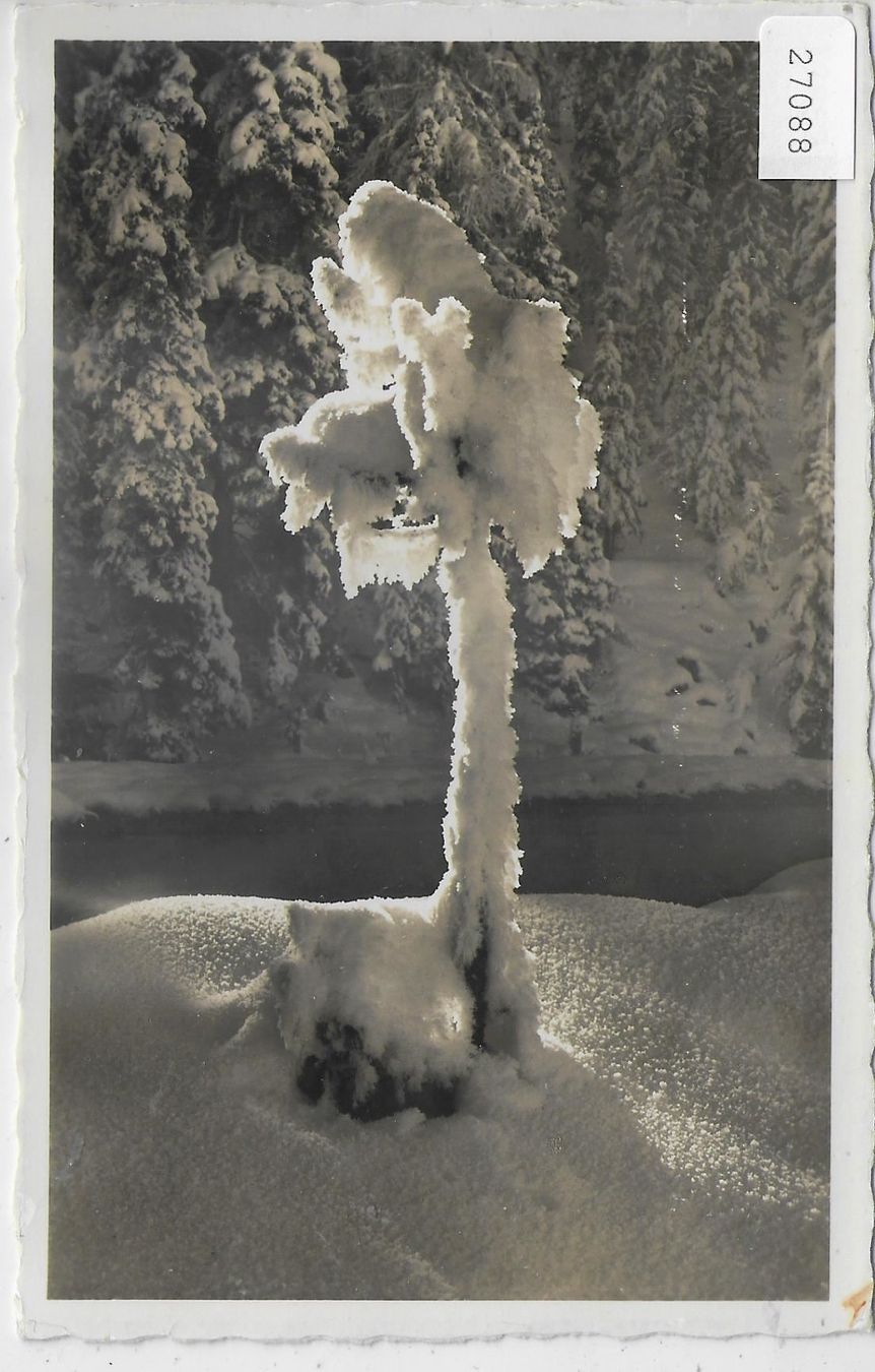 Cartoline postali: Winterwald mit Rauhreif – Usato da Ettingen venduto da Kartenplanet