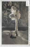 Winterwald mit Rauhreif