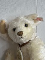 Bär von Steiff