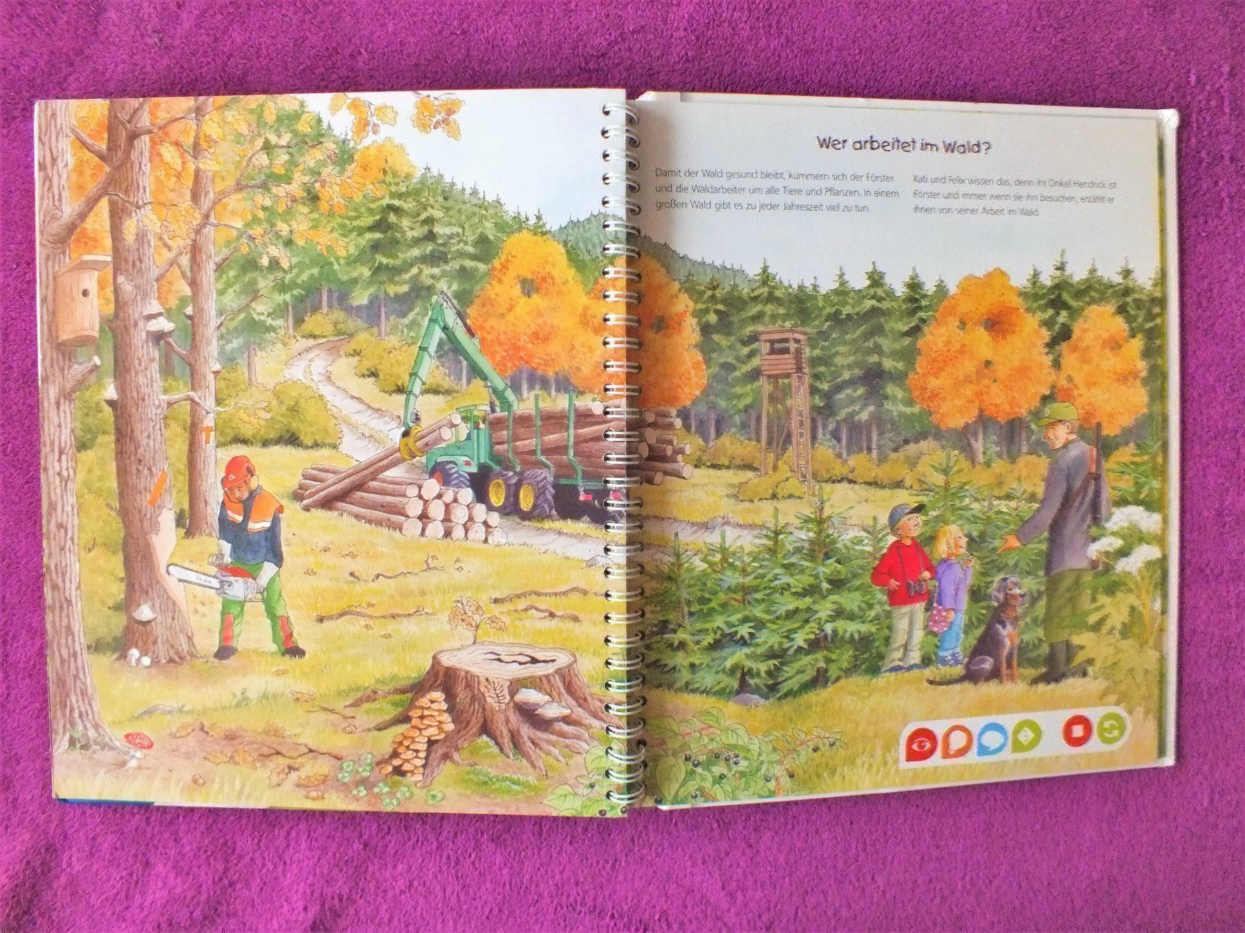 Libri: tiptoi Buch - Komm mit in den Wald – Usato da Müllheim Dorf venduto da Seeeule01 7