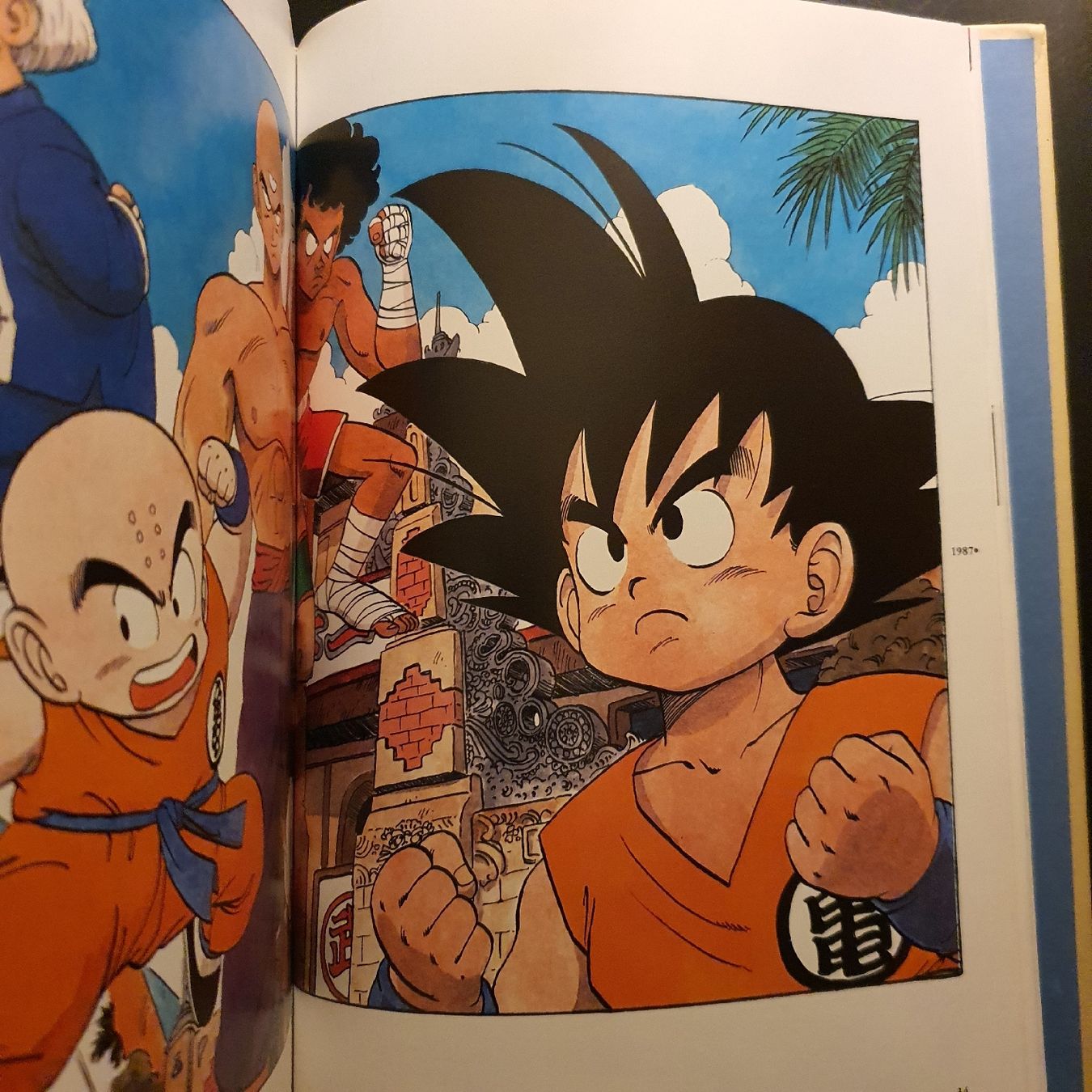 Libri: Dragon ball : artbook. Carlsen-Comics – Usato da Zürich venduto da TimZurich1 4