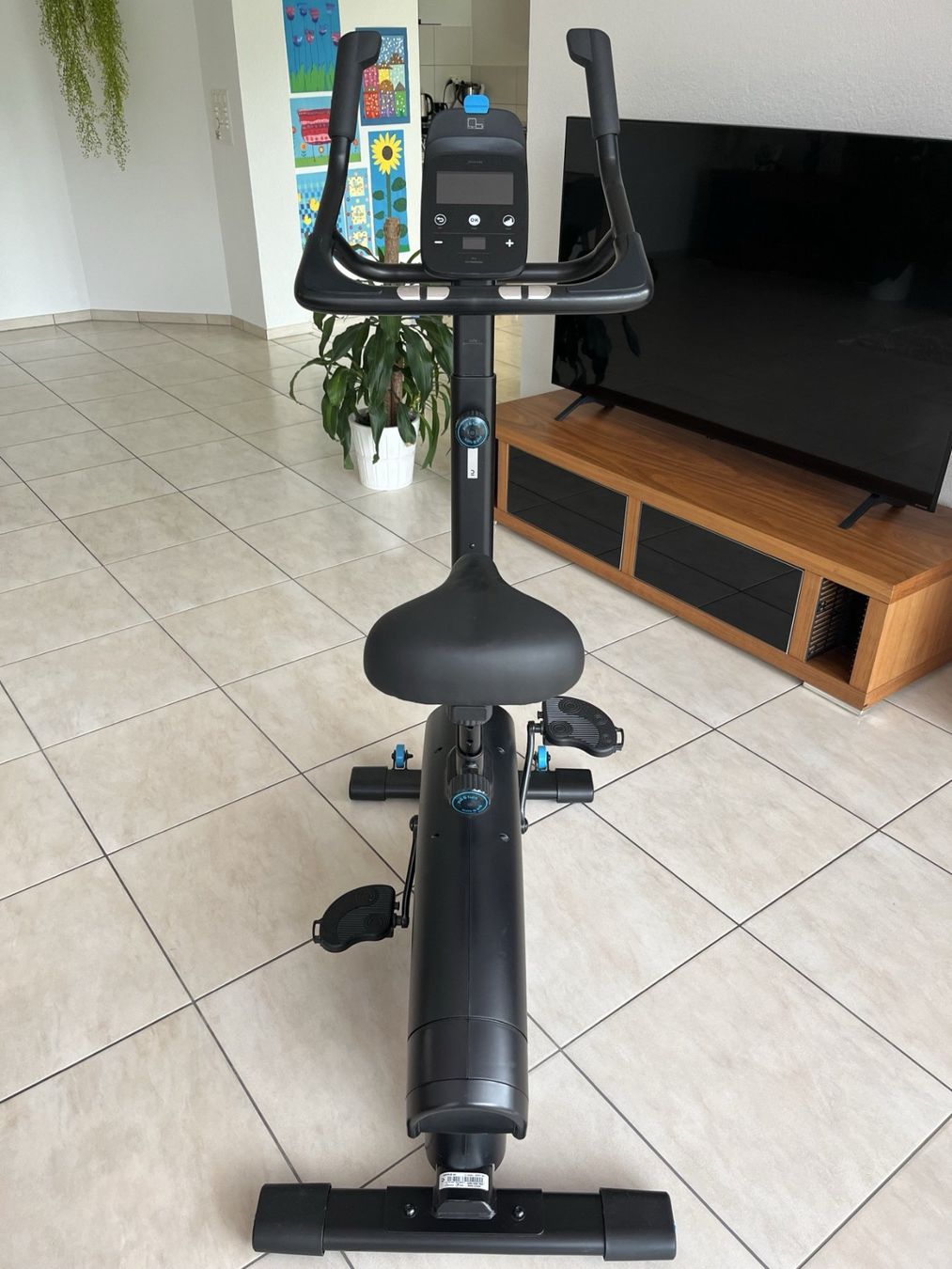 Hometrainer: Domyos Heimtrainer Bike 900 mit Eigenantrieb – Usato da Bremgarten AG venduto da jordico85 2