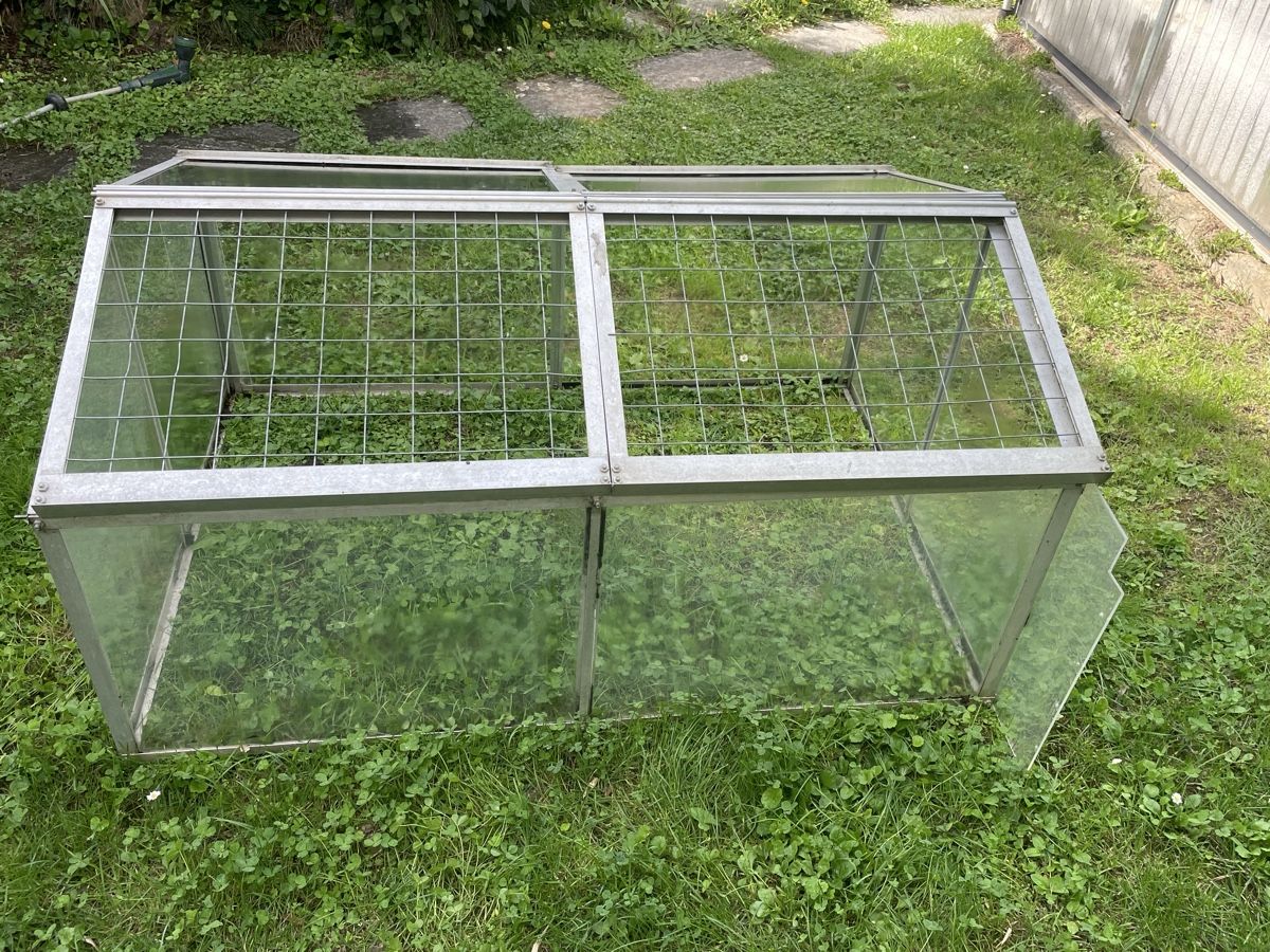 Piante & sementi: Frühbeet Aluminium – Usato da Dulliken venduto da Emys_1 1