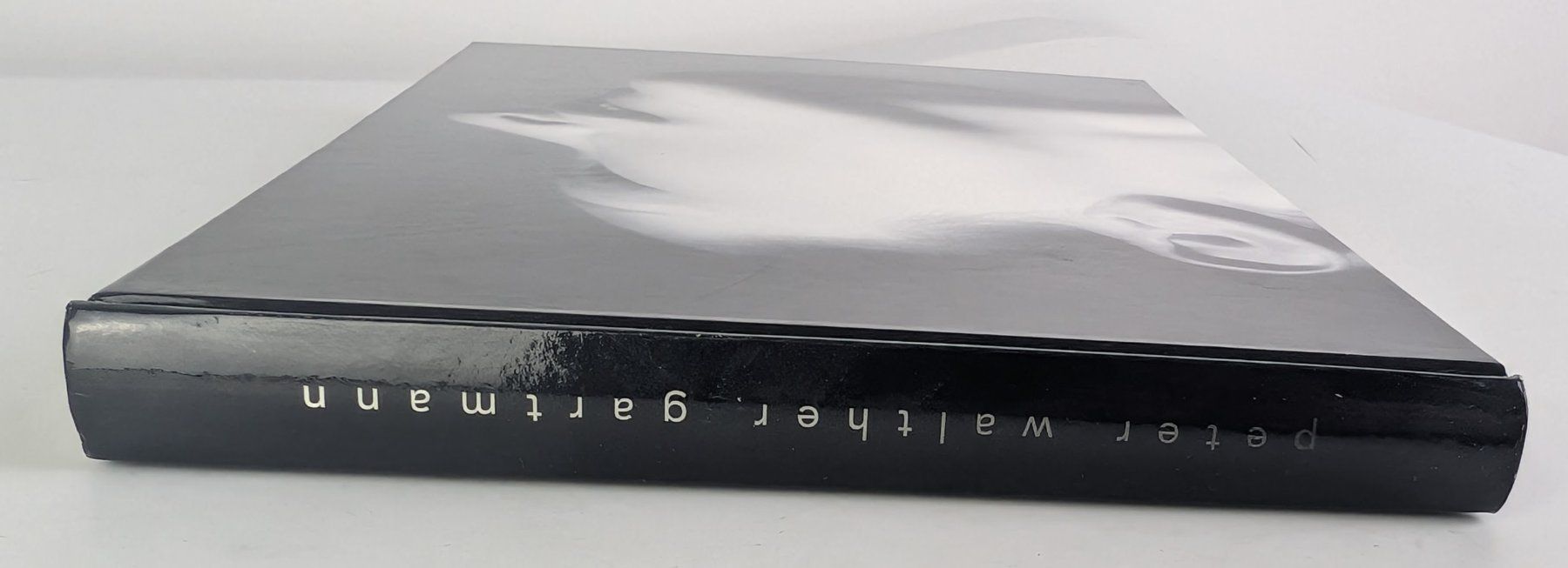 Libri: Peter Walther Gartmann Fotoband - Top! – Nuovo (secondo la descrizione) da Zürich venduto da axolottchen 3