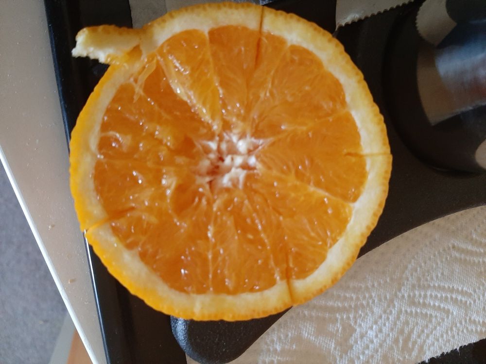 Orangen/Zitronen Presse, Handbetrieb | Kaufen auf Ricardo