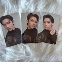 stray kids felix green project photocards