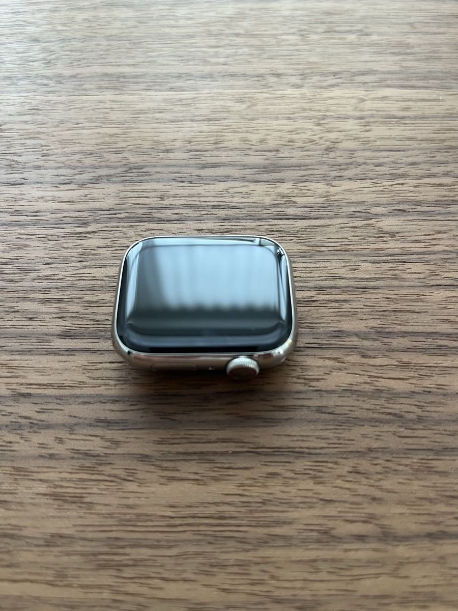 Apple Smartwatch: Apple Watch Hermès Series 9 – Usato da Zürich venduto da Lynmay73 9