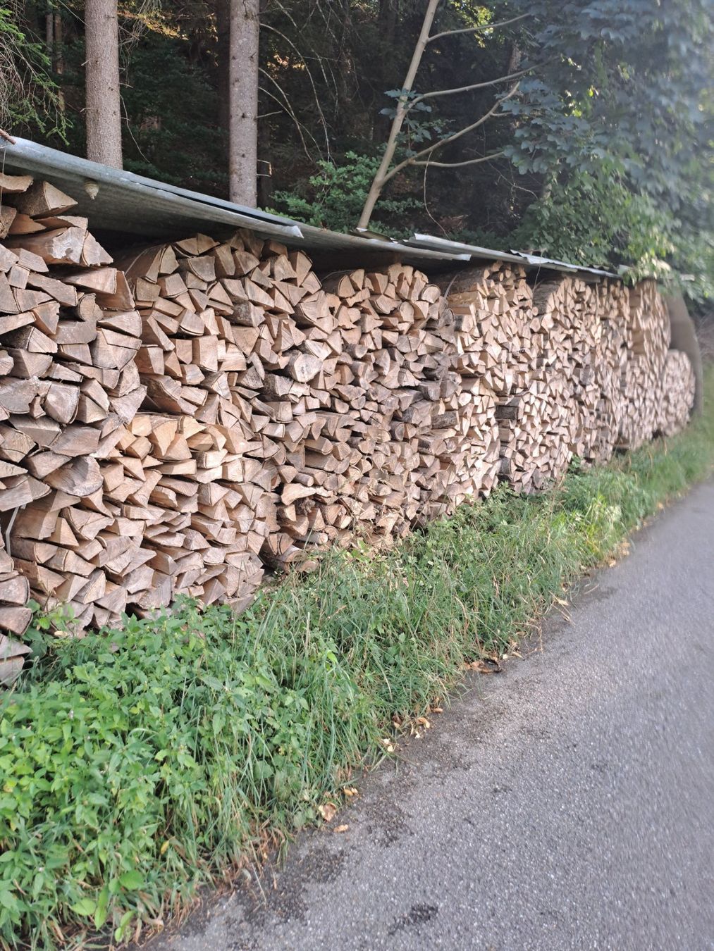 Holzartikel: Brennholz Buche – Gebraucht aus Oberfrittenbach von Muli500